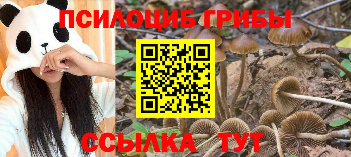 Псилоцибиновые грибы MAGIC MUSHROOMS  Псилоцибиновые грибы Cubensis  Киселёвск  Вход с VPN 