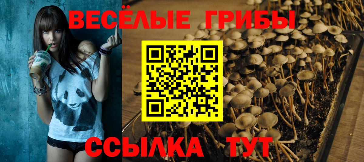 Галлюциногенные грибы MAGIC MUSHROOMS Киселёвск